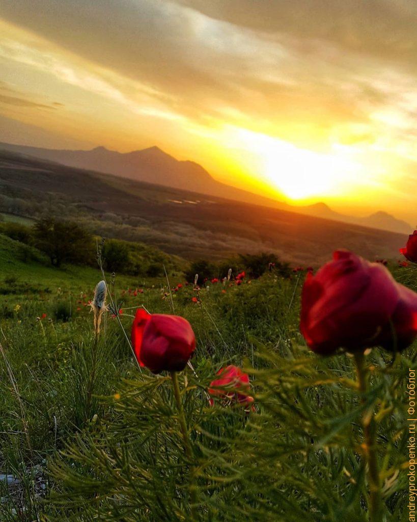 Горы Кавказа на фото. КМВ и Приэльбрусье