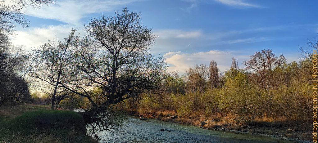 Весенняя прогулка по берегу горной реки в Пятигорске
