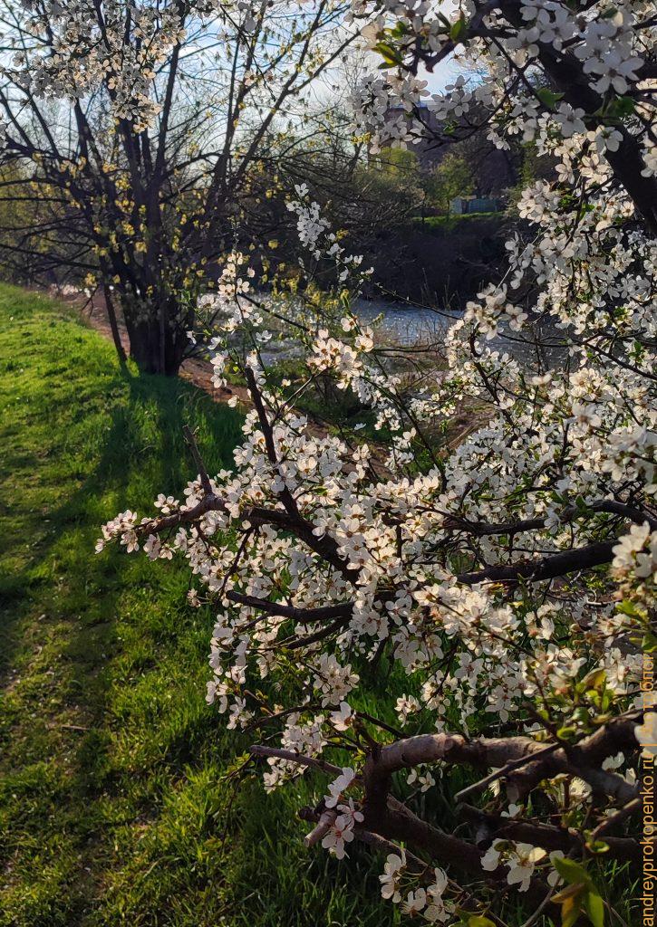Весенняя прогулка по берегу горной реки в Пятигорске