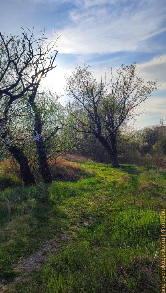Весенняя прогулка по берегу горной реки в Пятигорске