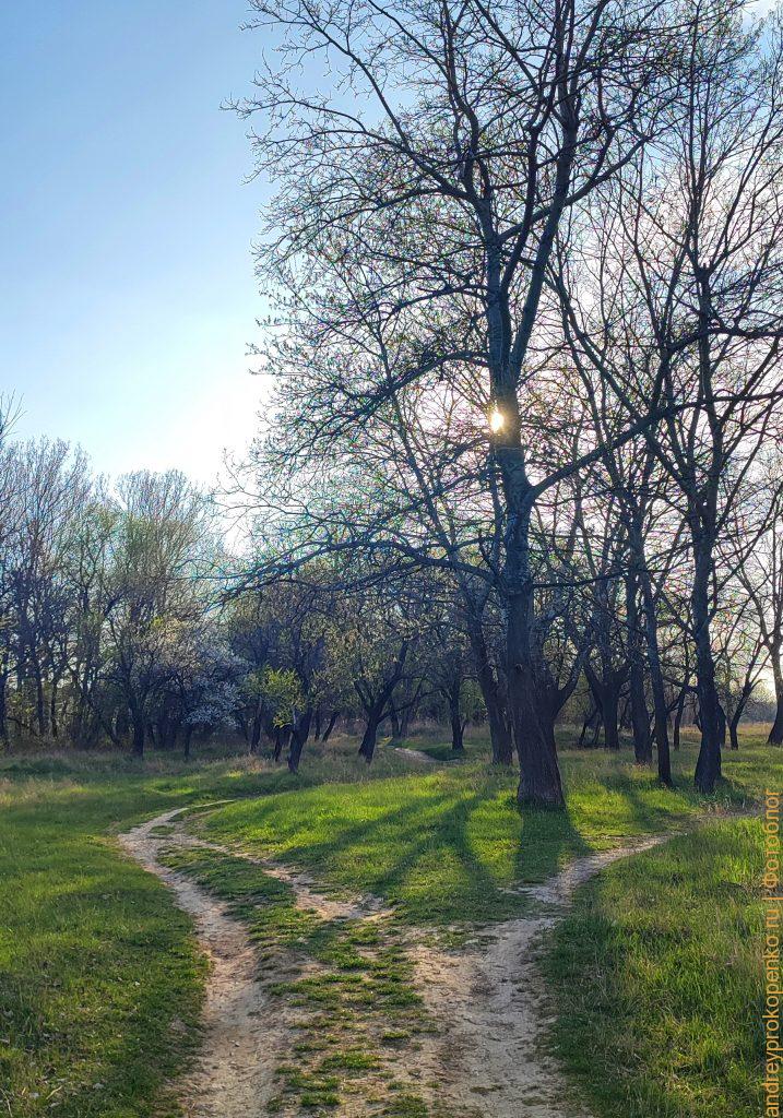 Весенняя прогулка по берегу горной реки в Пятигорске