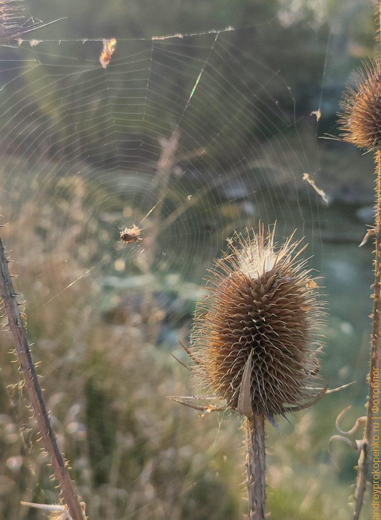 Весенняя прогулка по берегу горной реки в Пятигорске