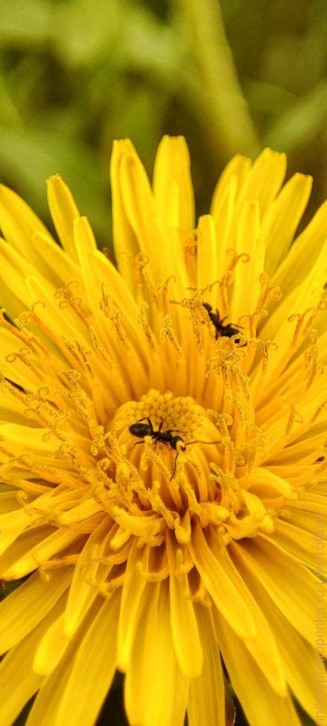 Живописный закат в курортном городе