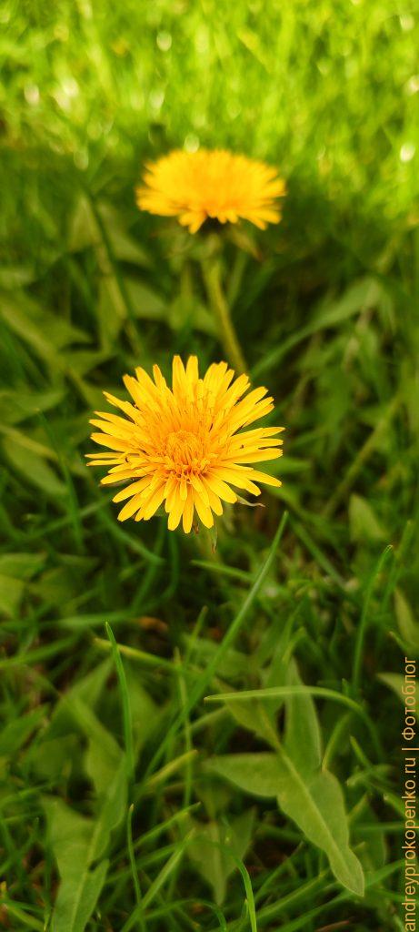 Живописный закат в курортном городе