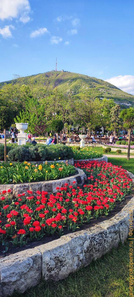 Реклама в Пятигорске