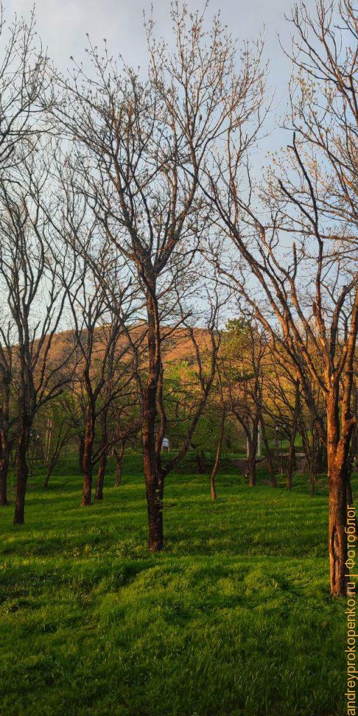 Фотографии из региона КМВ