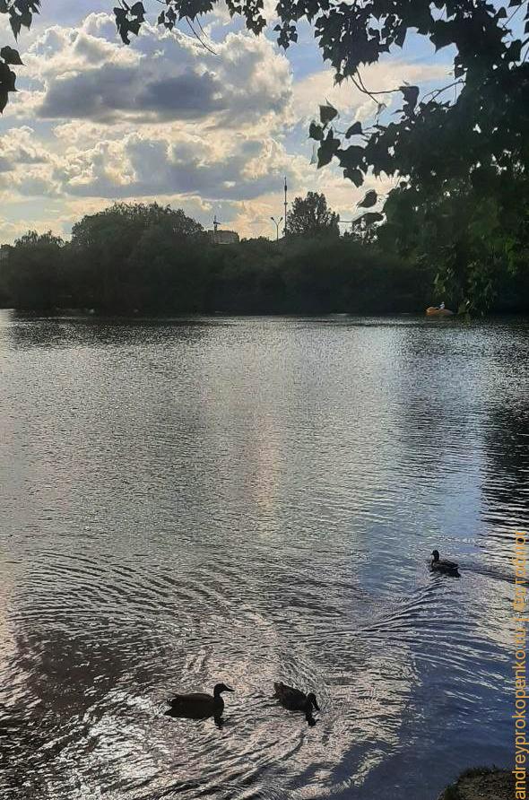 Прогулка около озера в Пятигорске