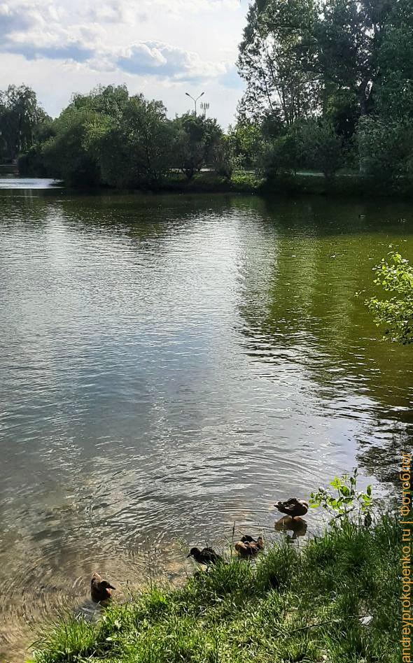 Прогулка около озера в Пятигорске