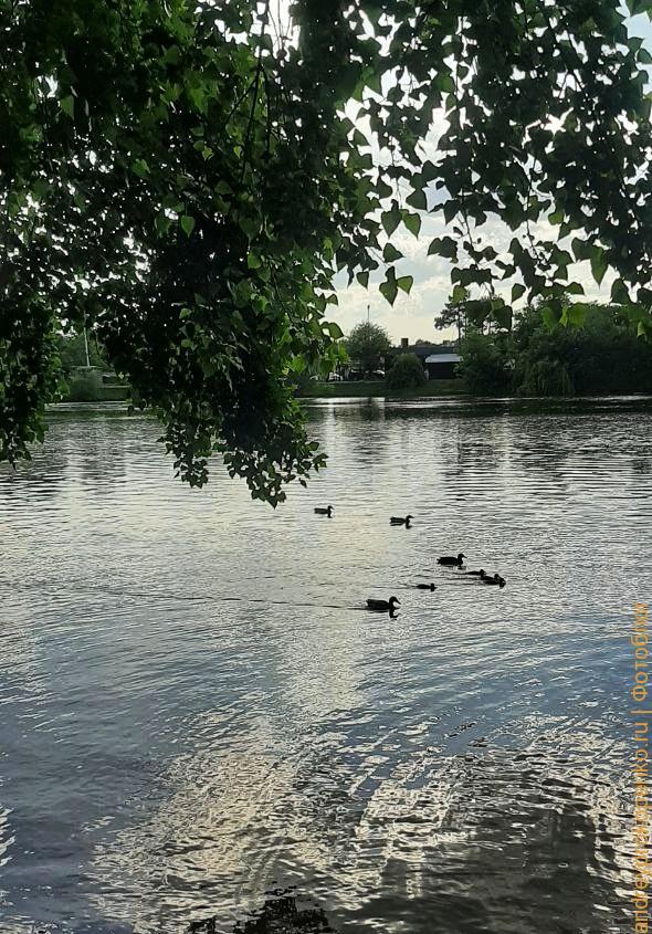 Прогулка около озера в Пятигорске