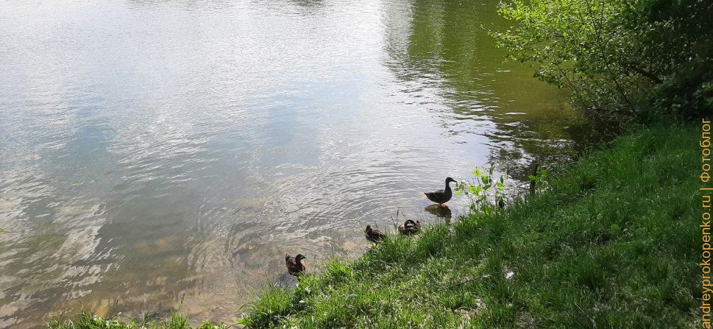 Прогулка около озера в Пятигорске