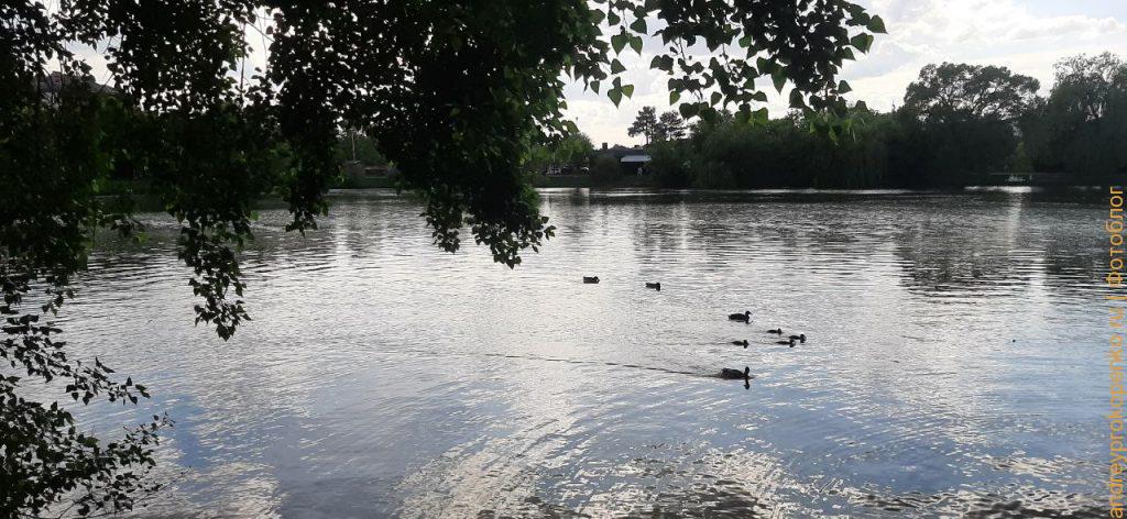 Прогулка около озера в Пятигорске