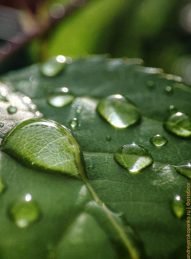 Фотографии из Пятигорска. Сборник из мобильного телефона