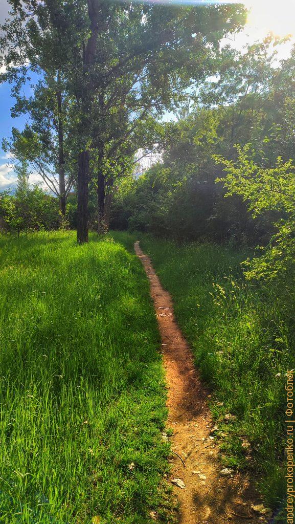Фотографии из Пятигорска. Сборник из мобильного телефона