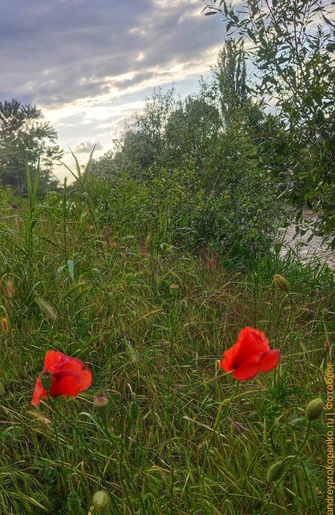 Фотографии из Пятигорска. Сборник из мобильного телефона
