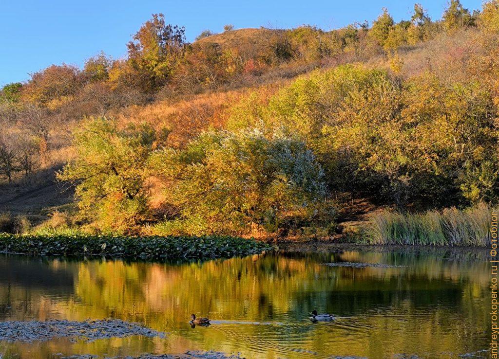 Прекрасная осень в регионе КМВ