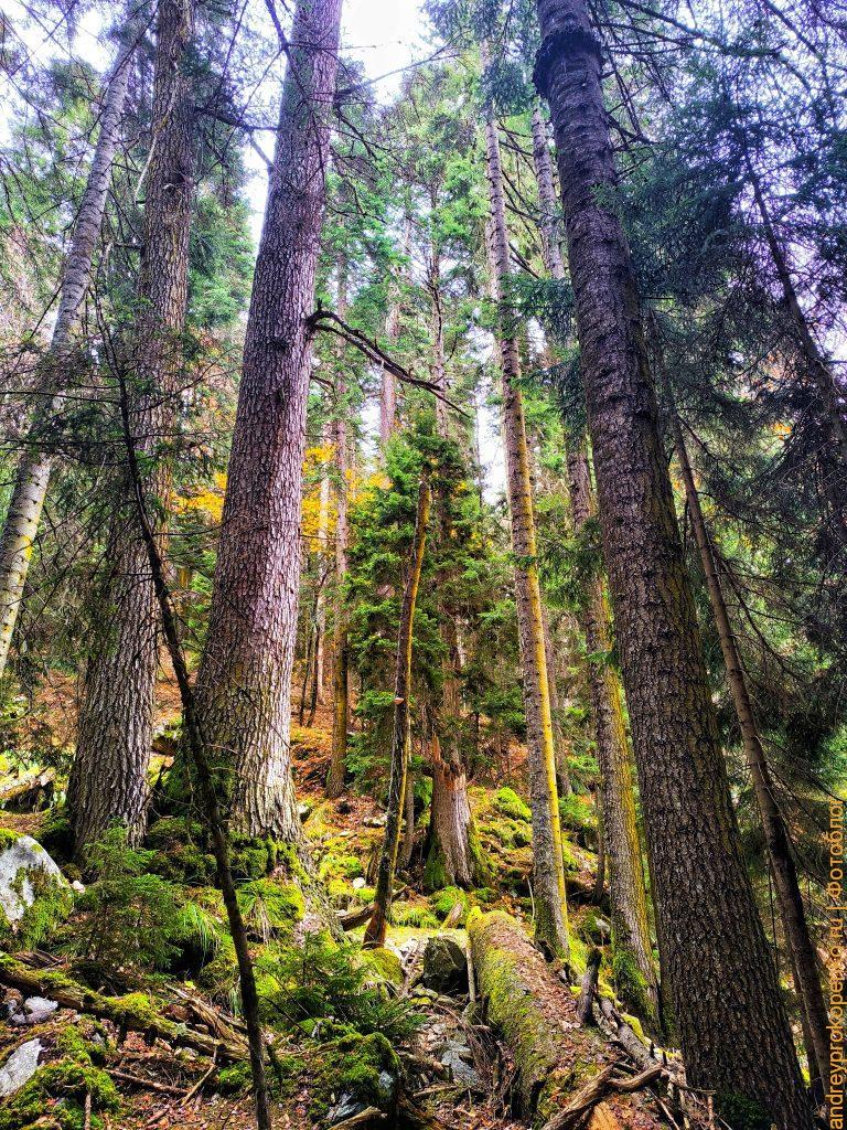 Красота Приэльбрусья. Осенний Архыз