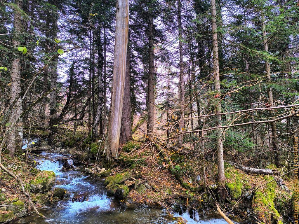 Красота Приэльбрусья. Осенний Архыз