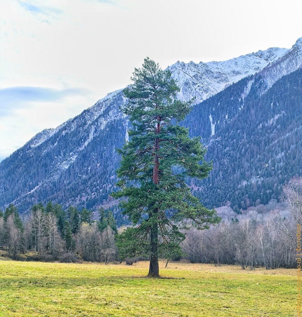 Красота Приэльбрусья. Осенний Архыз