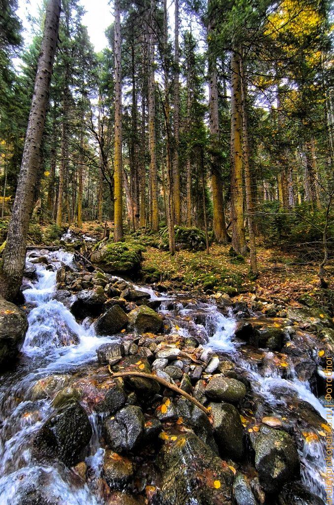 Красота Приэльбрусья. Осенний Архыз