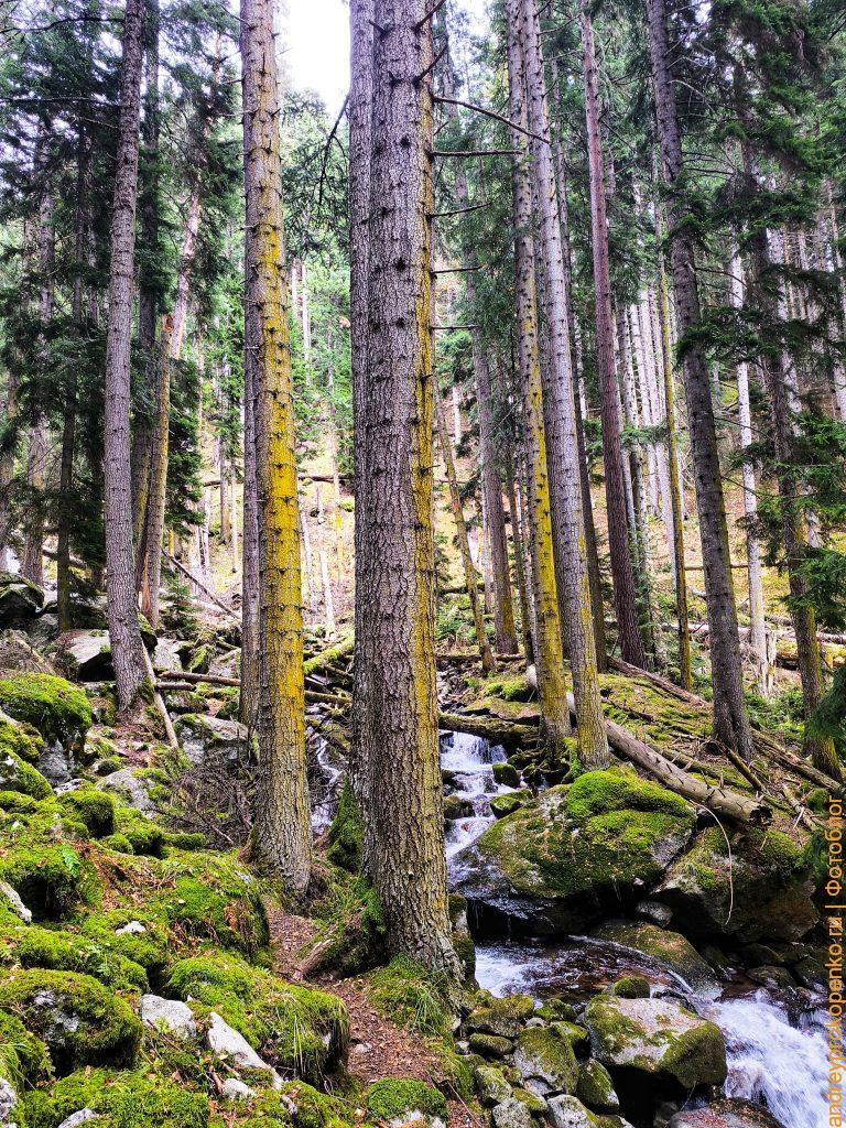 Красота Приэльбрусья. Осенний Архыз