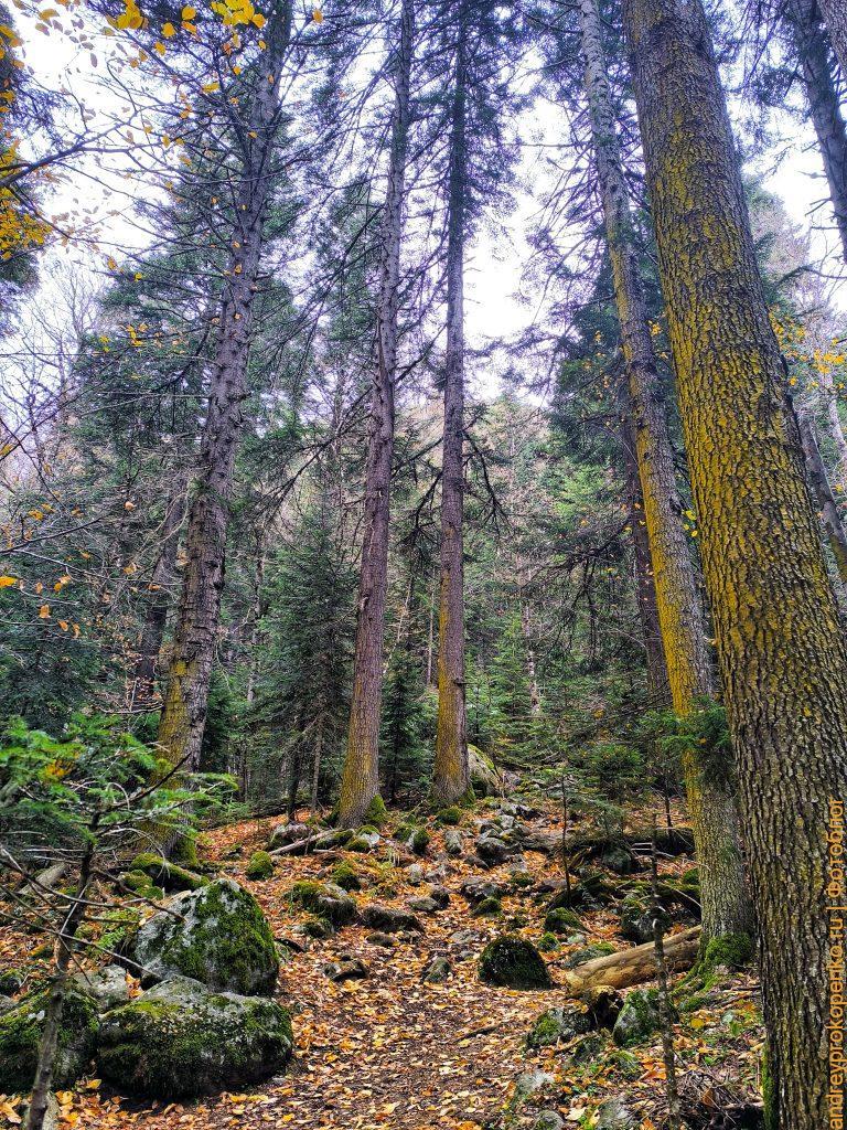 Красота осеннего Архыза