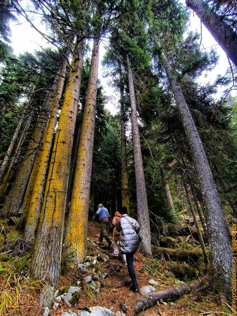 Красота осеннего Архыза