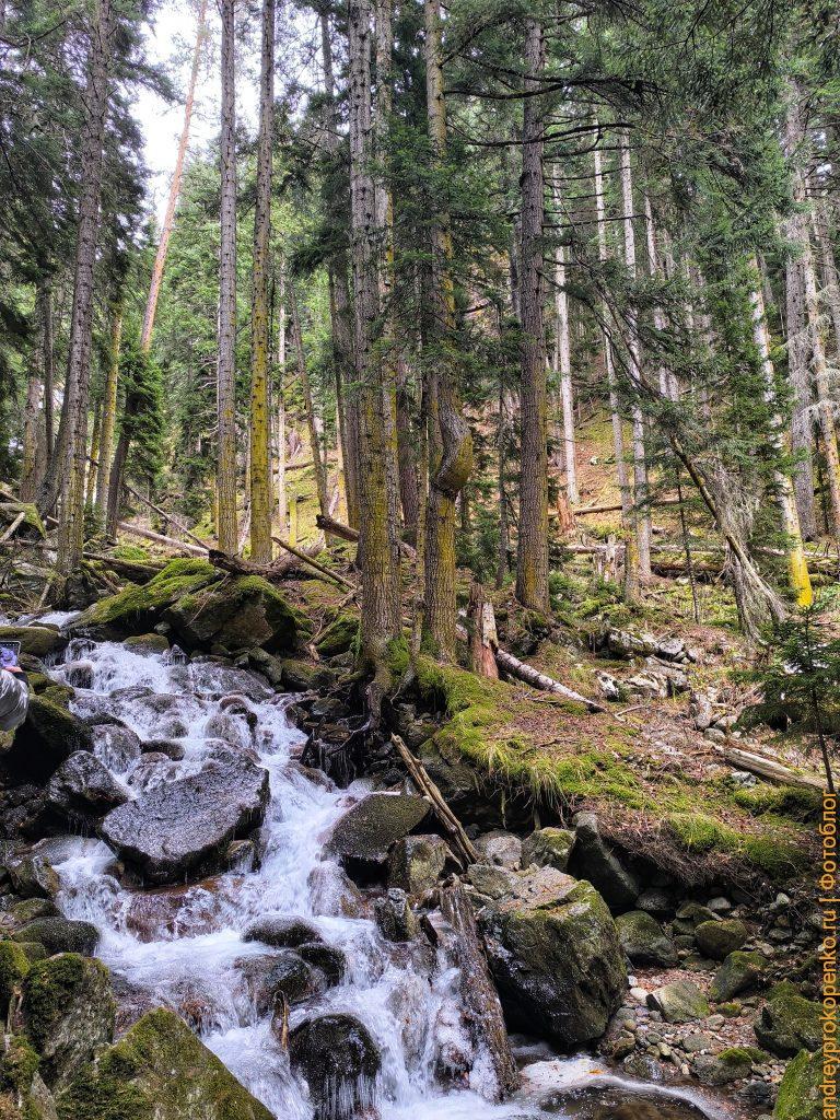 Красота осеннего Архыза