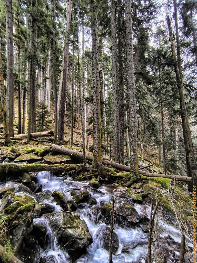 Красота осеннего Архыза