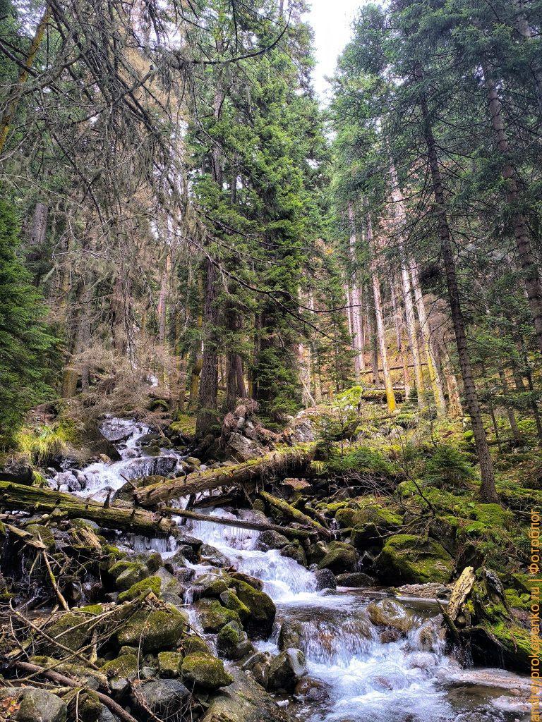 Красота осеннего Архыза