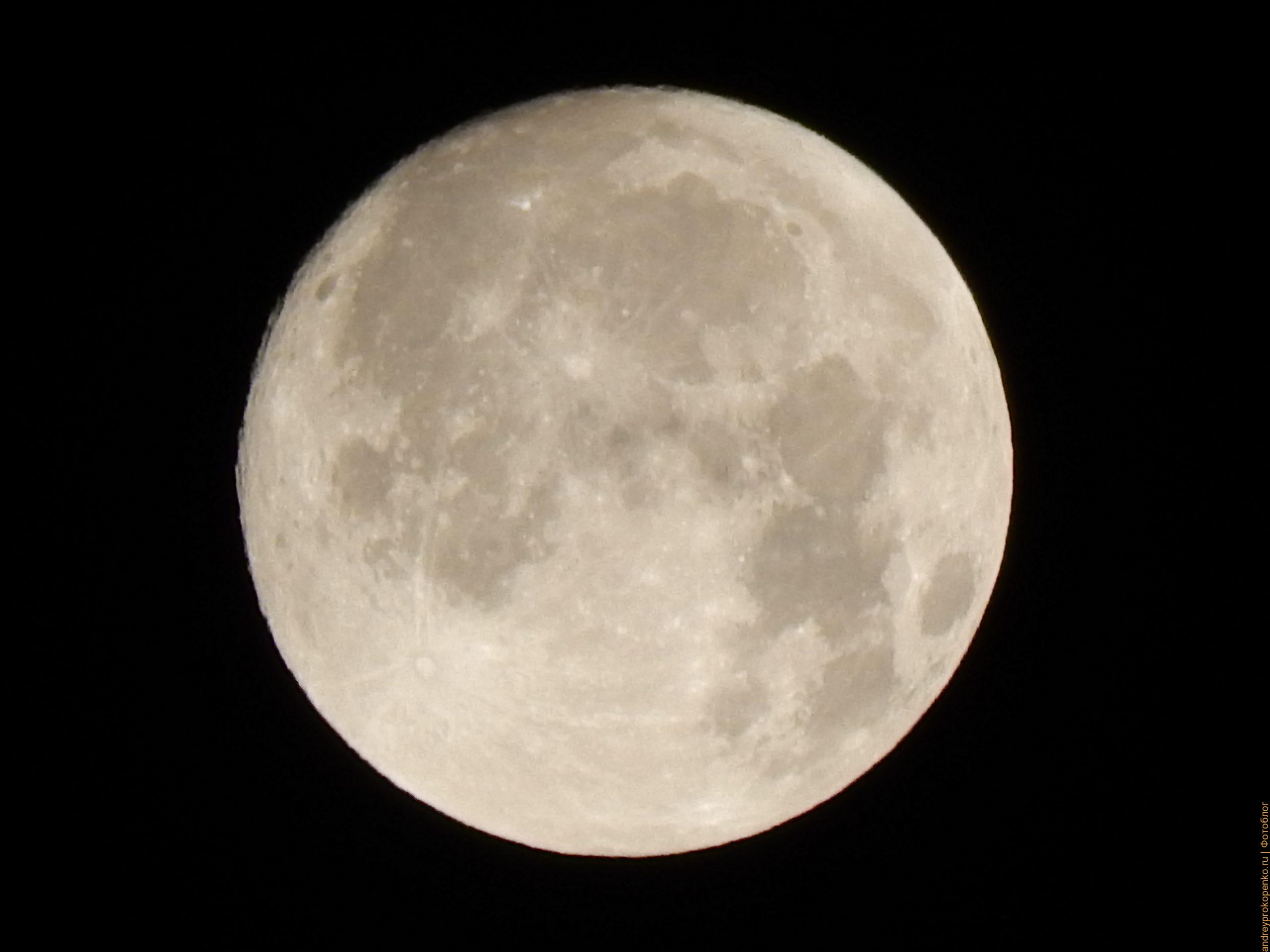 Луна перед затмением / фото дня