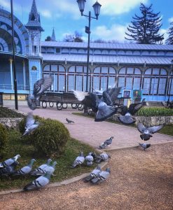 Встреча книжного клуба. Книга Водолазкина «Лавр»