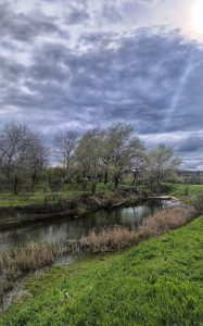 Весенняя природа Ставрополья