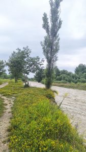 Летняя прогулка по берегу реки Подкумок