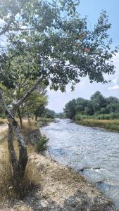 Фотопрогулка по берегу горной реки в Пятигорске